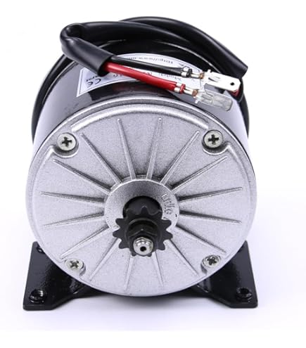 Amazon.com : YC Yier 36V 350W Brushed DC Motor MY1016 2750RPM for